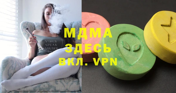 молекула духа Вяземский