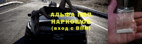 молекула духа Вяземский