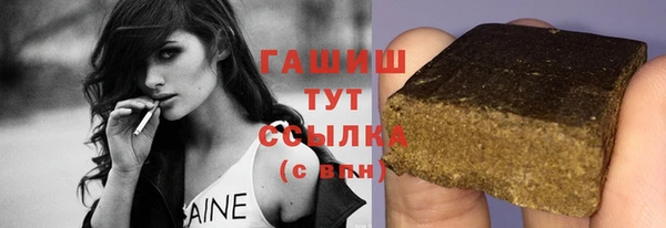 молекула духа Вяземский