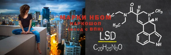 молекула духа Вяземский