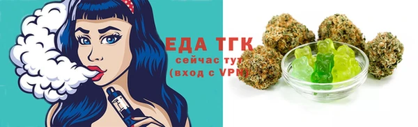 молекула духа Вяземский
