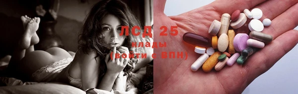 молекула духа Вяземский