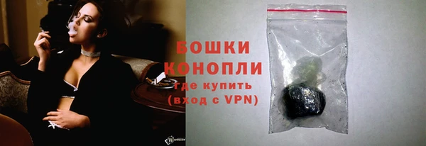 молекула духа Вяземский