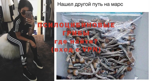 молекула духа Вяземский
