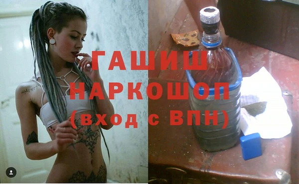молекула духа Вяземский