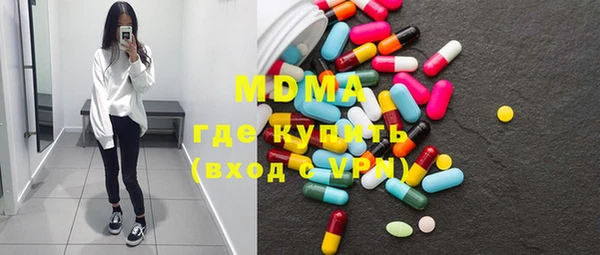 молекула духа Вяземский