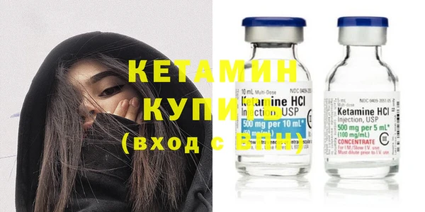 молекула духа Вяземский