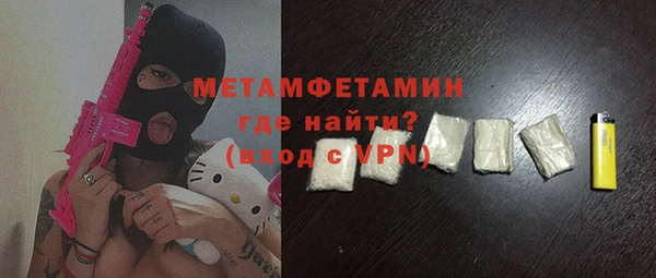 молекула духа Вяземский
