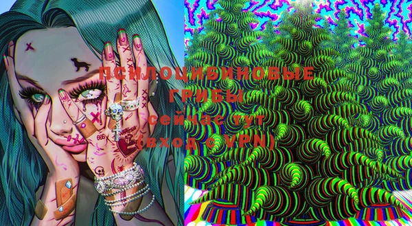 крисы Вязники