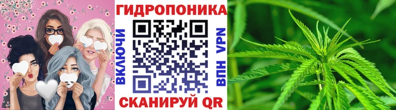 Купить закладки Билибино Марихуана Amnesia